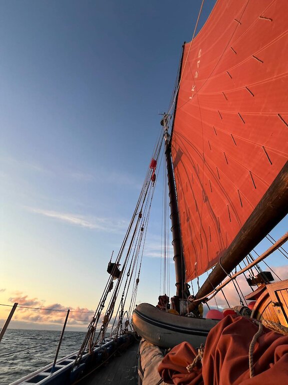 Sun catching the main sail on Swan