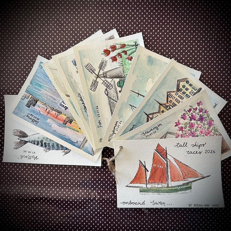Beautifully illustrated Postcards Beenie Ann produced during her trip